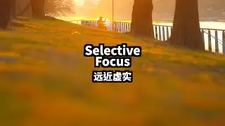 Selective Focus｜远近虚实