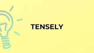 What is the meaning of the word TENSELY?