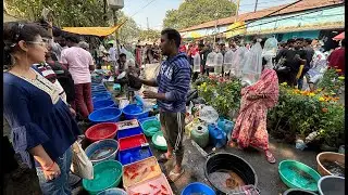 Galiff Street Pet Market Live Video 2025 Kolkata Latest Update | Aquarium fish price update