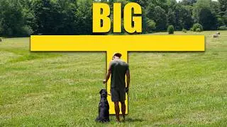 The Big T Drill: Искупление Рамблера