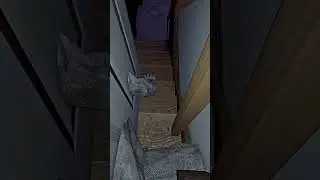 Can You Survive Using This Door Trick in Phasmophobia?