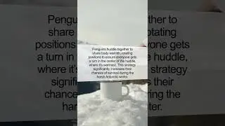 The Ingenious Strategy of Penguin Huddles: Nature's Marvel