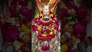 Khatu Shyam Baba mare #song #love #sorts #viral #trending #video #live #shreekhatushyam #shyam #yt