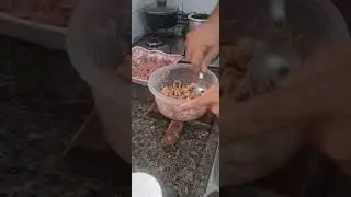 porpetas agora atendendo pedidos receita completa