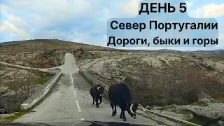 День 5 | От Миранделы до Gerês - тишина городов, длинные дороги и холодный финиш