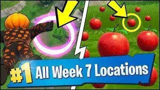 *ALL* Fortnite WEEK 7 CHALLENGE LOCATIONS | APPLE, MUSHROOM, RINGS (Season 6 Week 7 Challenges)