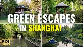 Discover Green Escapes in Shanghai | Parks, Gardens & Water Town Adventures