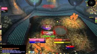 Holy Paladin/Aff Lock vs. BM Hunter/Frost DK 2v2 arena pvp 5.2
