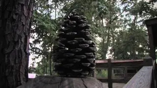 Pine Mountain Gold Museum [XH A1 24f Test]