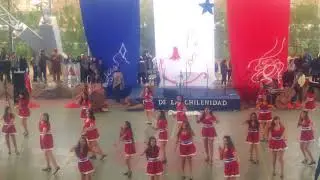 Carolais 2017