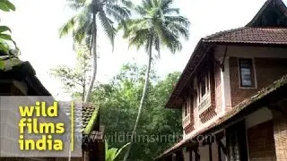 Punnamada backwater resort - Kerala