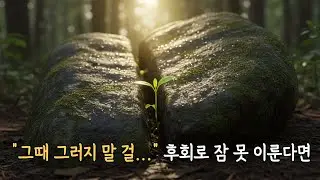 후회와 자책으로 잠 못 드는 밤, 과거를 비옥한 흙으로 바꾸는 깊은 수면 명상