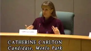 City Government Oversight
