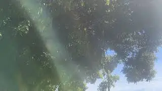 Bora conhecer um ponto turístico em Primeiro de maio pr