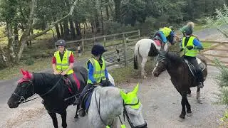 RAC Saddle Club Junior Academy