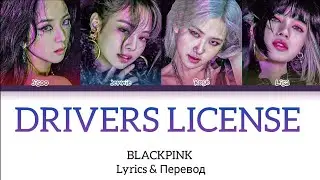 How would BLACKPINK sing 'DRIVER'S LICENSE' Olivia Rodrigo | Перевод + Текст