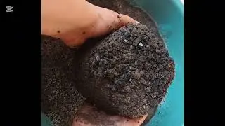 Water Crumbling Charcoal Flakes Texture | Satisfying | ASMR | Crumbling 