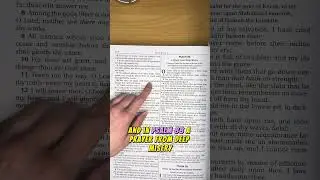 Day 140 of 365: Reading the Bible for the first time