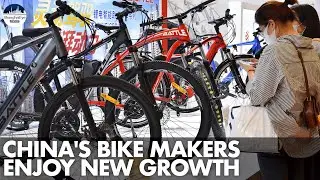 Cycling craze! More Chinese turning to domestic bike brands amid a $43bln market in 2021