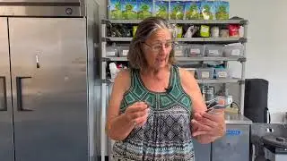 siren mocha chip  energy bite review from oh goodie box