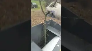 Tocator porumbari,maracini,crengi vegetație sălbatică Ztrust, 420cc , 13cp,