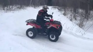 Kawasaki Brute Force 300