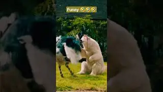 Funny Scene of Dolittle movie 🤣🤣 #shorts #funny #dolittlemovie #loveanimals