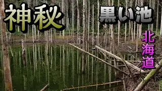 廃道脇の【黒い池】は神秘的… 日高ツーリング Ride on GSX1300R  隼 北海道#31‐2020