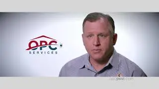 Recommending a pest control company for year round home pest control