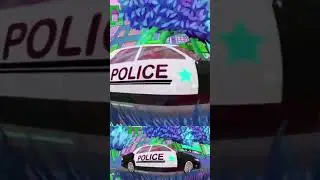 police car
