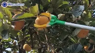 [월드그린] 과일수확기