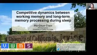 Pin-Chun Chen - Competitive dynamics between working memory and long-term memory during sleep.
