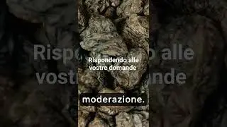 uvetta sultanina &egrave; dannosa per noi diabetici? #alimenti #diabete #domanderisposte