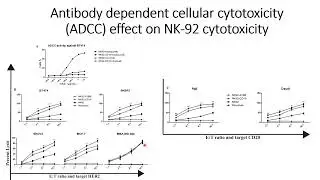 ADCC assisted cytotoxicity of CD-16 cDNA and CD-16-CAR-NK-92 cells against target cells  #Code: 1113
