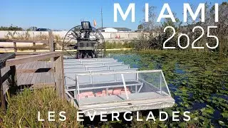 MIAMI (d3) - Les Everglades 