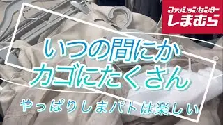 【しまむら購入品】いつの間にかカゴにたくさん入ってる！やっぱりしまパトって楽しい♡