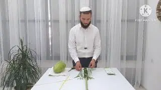 איך לאגוד את ארבעת המינים בקלות?
