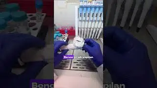 🧪Sizce başka hangi hatalar yapılıyor? #dlab #dlabt&uuml;rkiye #mikropipet #labakademi #reklam
