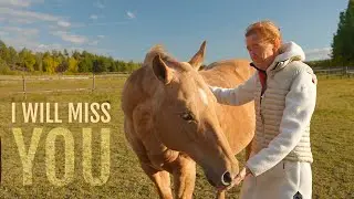Saying goodbye to my horses