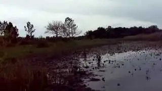 Short Swamp Hike
