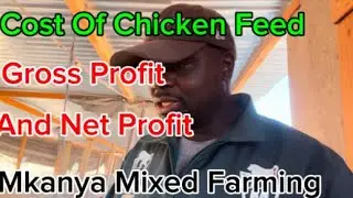 IS FARMING LAYERS PROFITABLE? Mkanya Mixed Farming Zimbabwe