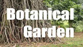 Explore Bogor Botanical Garden: Nature & Beauty, Indonesia | Canon HD | Virtual Trip