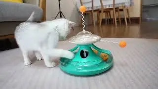 Interactive Double Rolling Ball Cat Feeding Toy/ Roller Carousel Cat Toy