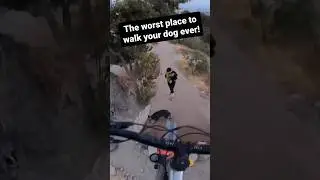 The Worst MTB Crash Ever 😱😬 #downhill #mtb #fail