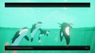 ABZ&Ucirc; creatures Orcas