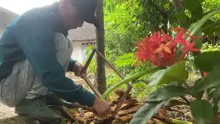 Replacing Old Frames  - Getting the Hives Ready for New Honey Flow  (Final)