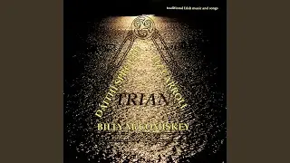 Paddy O'Brien's / The Gosling / Deirdre Shannon's (Reels) (Medley)