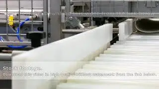 Food factory automated robotic conveyor line