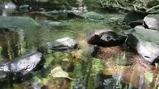 The Old Water Mill Meditation | Agra Waterfall Sounds for Deep Calm