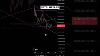 On track #cryptocurrency #satscoin #satoshi #altcoins #brc20 #altcoindaily #cryptonews #satsnews